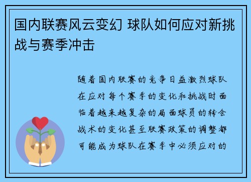 国内联赛风云变幻 球队如何应对新挑战与赛季冲击